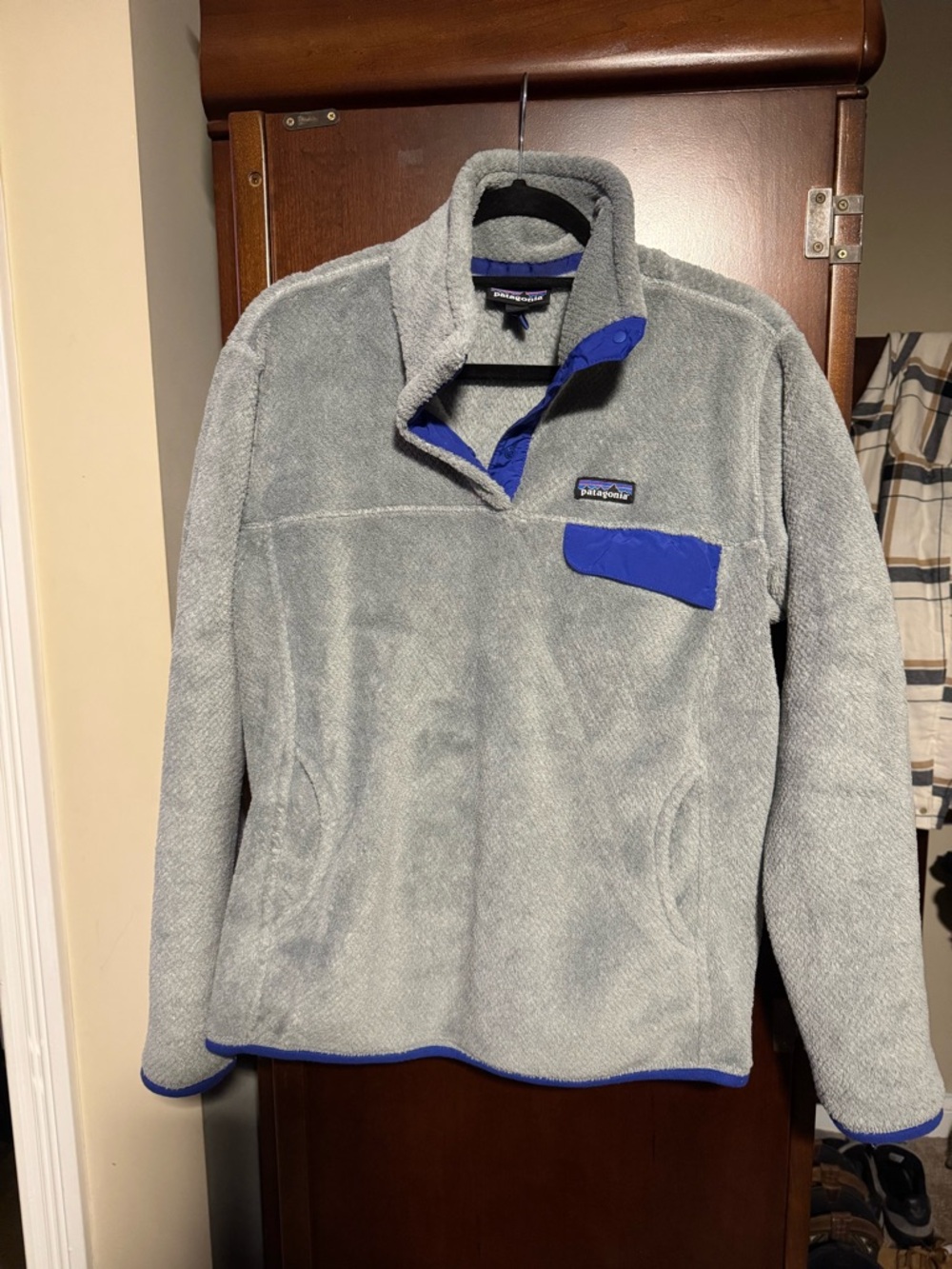 Patagonia Light Gray Fleece Pullover with Blue Accents